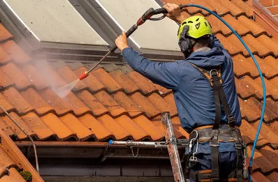 Démoussage et hydrofuge de toiture à Colomieu